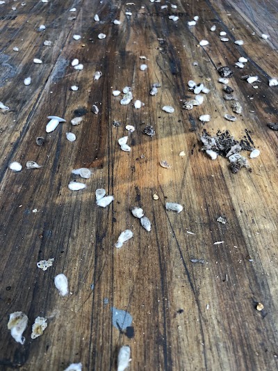 Crockett Gin Co, LLC, photographed by a Google contributor