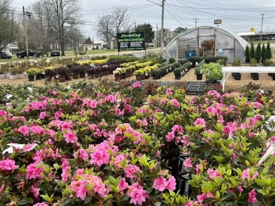 Stribling Lawn Care & Landscapes, photographed by a Google contributor