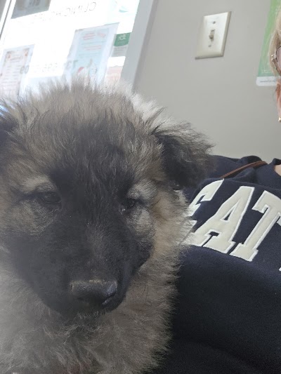Alamo Animal Clinic, photographed by a Google contributor