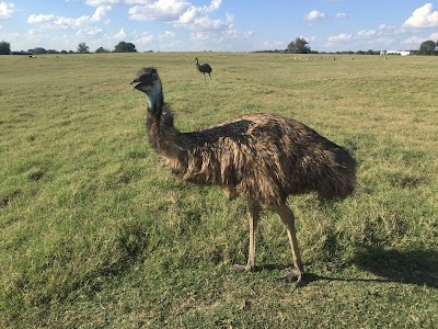 Tennessee Safari Park, photographed by a Google contributor